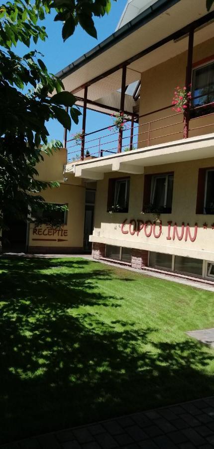 Copou Inn 이아시 외부 사진